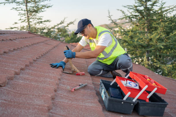 Best Local Roofing Companies  in Ralls, TX